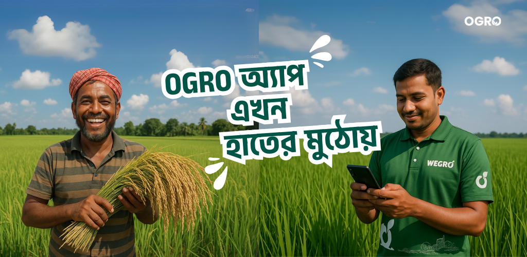 YouTube Playlist Preview